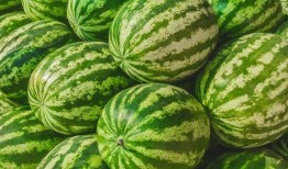 免费吃瓜去哪里,揭秘各大热门平台瓜分福利攻略